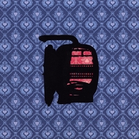 The Enright House : A Maze and Amazement