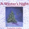 ENSEMBLE GALILEI: A Winter's Night