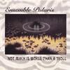 ENSEMBLE POLARIS: Not Much is Worse than a Troll