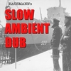Eric Hausmann: Slow Ambient Dub