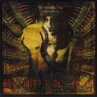Eric McFadden Trio : Delicate Thing