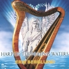 ERIK BERGLUND: Harp of the Healing Waters