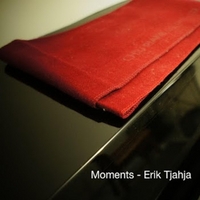 Erik Tjahja: Moments