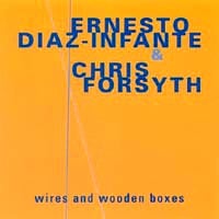 Ernesto Diaz-Infante & Chris Forsyth: Wires and Wooden Boxes
