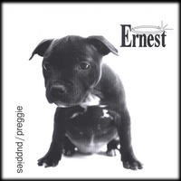 ERNEST: AA Single Puppies/Preggie