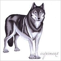 Esquimaux : Wolf