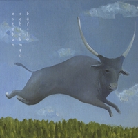 ESTEBAN SEHINKMAN: Bufalo