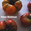 Ethan Waldman: Ethan Waldman