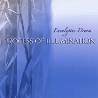 Eucalyptus Dream : Process Of Illumination