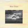 BRIAN EVANS: Train Wreck Days
