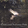 AMBIENT RECORDINGS: Voices of Everglades National Park