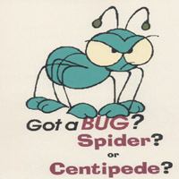 EVIE BOSS: Got a Bug?Spider? Or Centipede?