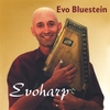 EVO BLUESTEIN: Evoharp