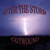 EXITWOUND: After the Storm