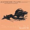 Extreme Flute (Bill McBirnie): Scratch It!