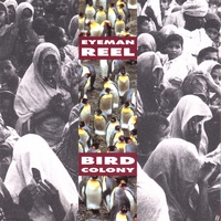 Eyeman Reel : Bird Colony
