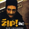 EZIO ZACCAGNINI: Zip - Zac in Progress