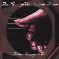 Fabien Degryse trio : The Heart of the Acoustic Guitar
