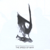 Martin Fabricius & Chris Lavender: The Speed of Why