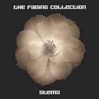 THE FADING COLLECTION: Stems