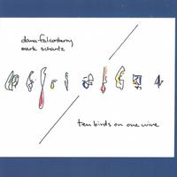 DANA FALCONBERRY AND MARK SCHANTZ: Ten Birds On One Wire