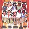 FALCON ENTERTAINMENT: Birds of a Feather