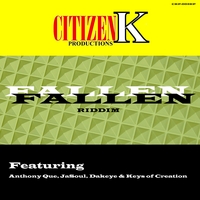 Various Artists : Fallen