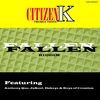 VARIOUS ARTISTS: Fallen