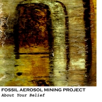 Fossil Aerosol Mining Project : About Your Belief