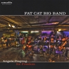 THE FAT CAT BIG BAND: Angels Praying For Freedom