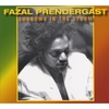 FAZAL PRENDERGAST: Shadows In The Storm
