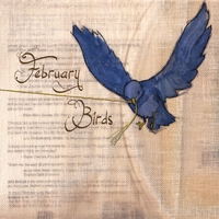 February Birds : February Birds