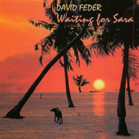 DAVID FEDER: Waiting For Sara