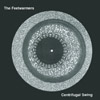 THE FEETWARMERS: Centrifugal Swing