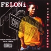 FELONI: A Woman's Revenge