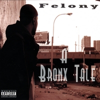 Felony : A Bronx Tale