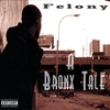 FELONY: A Bronx Tale