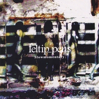 Feltip Pens : Slow Momentary