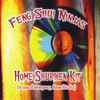 Feng Shui Ninjas: Home Shuriken Kit (in case of emergency, throw this disc)