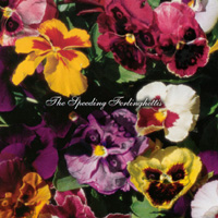 THE SPEEDING FERLINGHETTIS: The Speeding Ferlinghettis