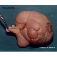 Fetous In Fetou : Memoirs of a fiend