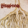 FICTION 20 DOWN: Welcome to the Grassroots