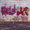 FIELDTRIP: Fieldtrip