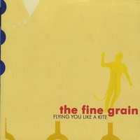 The Fine Grain : Flying You Like A Kite