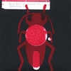 FINN RIGGINS, ( ): ((alive bugs))