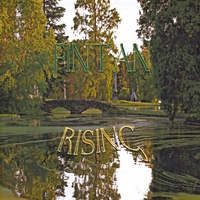 FinTan : Rising