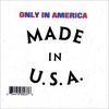 NICK FIORE AND TRAVIS SWACKHAMMER: Only In America