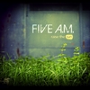 FIVE A.M.: Raise the Sun