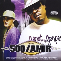 500 & Amir : 500 & Amir