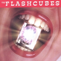 The Flashcubes : Bright Lights
